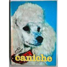 EL CANICHE
