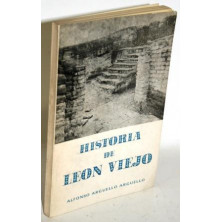 HISTORIA DE LEON VIEJO