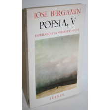 ESPERANDO LA MANO DE NIEVE (1978-1981)
