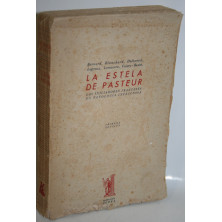 LA ESTELA DE PASTEUR